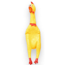 Pollo grande