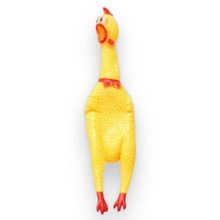 POLLOS GRANDE / PELOTAS GRANDE
