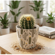 Maceta redonda cactus de 7 pulg.